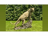 Tiger on rock h140 old gold - afbeelding 3 van  3