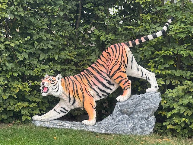 Tiger on rock h155cm x l180cm - afbeelding 1 van  2