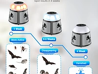 Tiptop home ongediertebestrijding - afbeelding 6 van  6