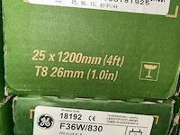 Tl lampen polylux - afbeelding 3 van  4