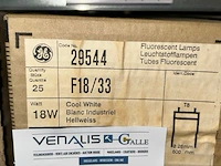 Tl lampen - afbeelding 5 van  6