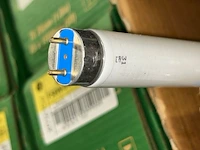 Tl lampen - afbeelding 3 van  4