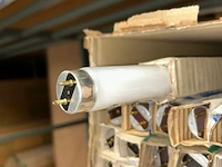 Tl lampen - afbeelding 4 van  4