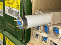 Tl lampen - afbeelding 4 van  4