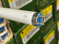 Tl lampen - afbeelding 4 van  4