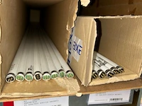 Tl lampen - afbeelding 2 van  4