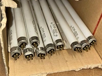Tl lampen - afbeelding 2 van  5