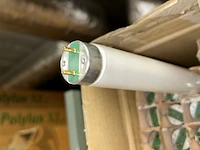 Tld philips lampen - afbeelding 2 van  5