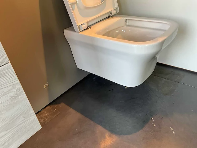 Toilet duravit+ handenwasser duravit - afbeelding 6 van  10