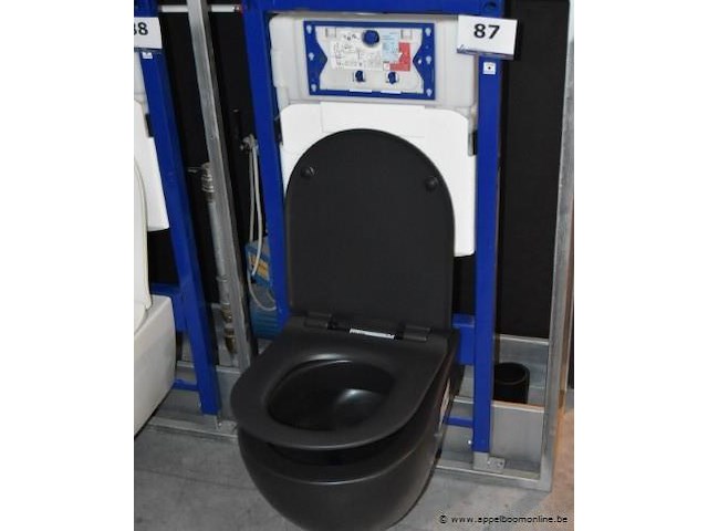 Toilet flaminia compleet met installatie - afbeelding 1 van  2