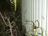 Toiletwagen warsco - afbeelding 16 van  50