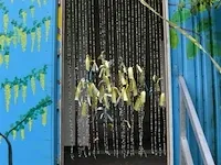 Toiletwagen warsco - afbeelding 19 van  50