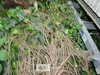 Toiletwagen warsco - afbeelding 37 van  50