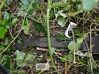 Toiletwagen warsco - afbeelding 38 van  50