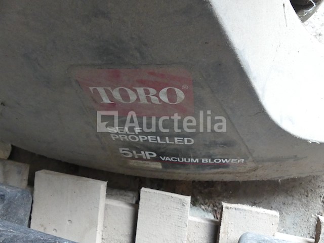 Toro 5hp thermische tuinstofzuiger - afbeelding 1 van  4