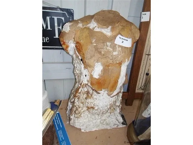 Torso - afbeelding 1 van  1