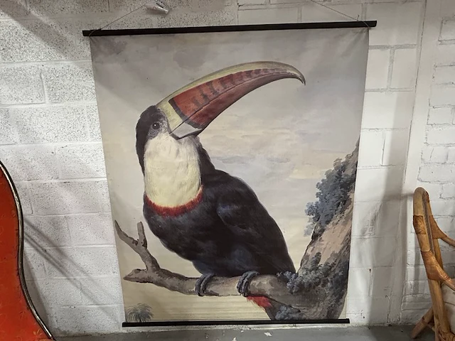 Toucan op doek - afbeelding 1 van  6