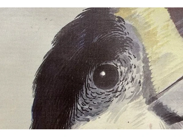 Toucan op doek - afbeelding 2 van  6