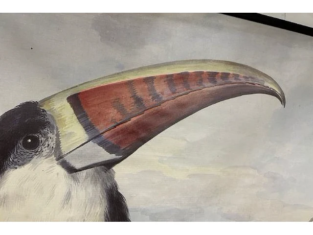 Toucan op doek - afbeelding 3 van  6