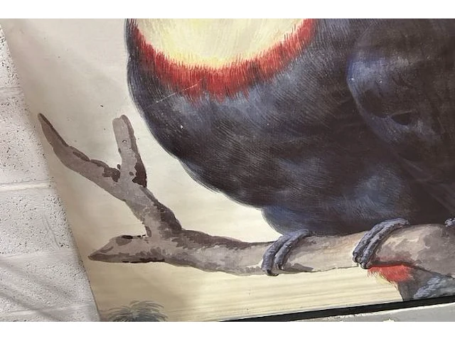 Toucan op doek - afbeelding 4 van  6