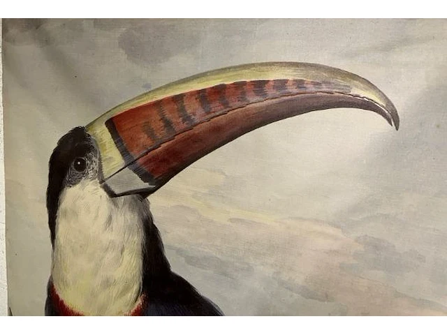 Toucan op doek - afbeelding 2 van  6