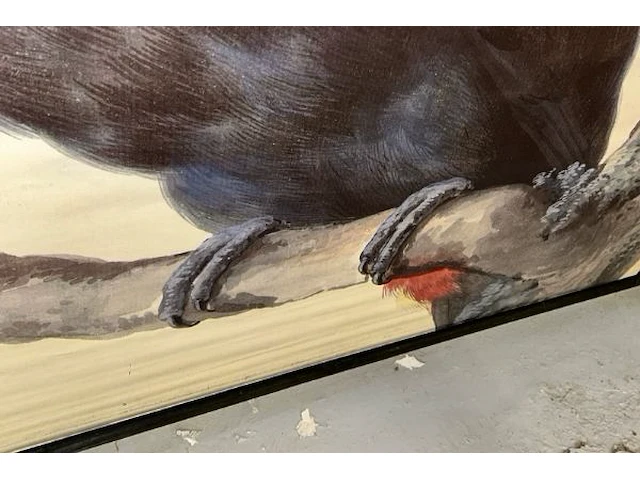 Toucan op doek - afbeelding 4 van  6