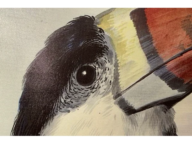 Toucan op doek - afbeelding 5 van  6