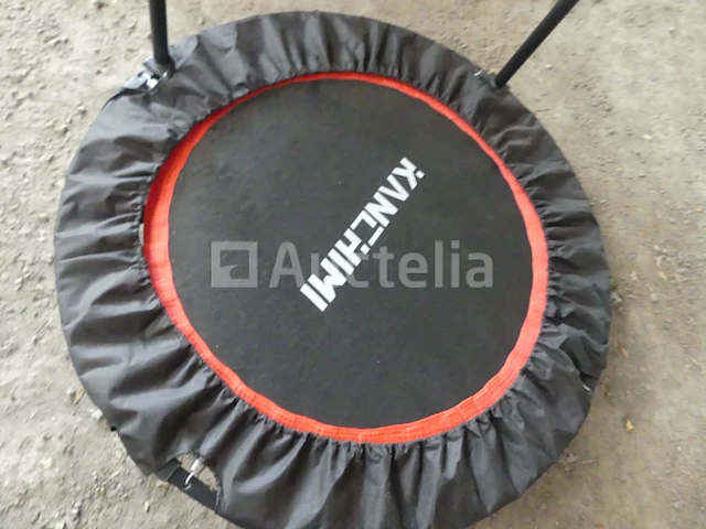 Trampoline trainen - afbeelding 5 van  5