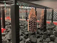 Trampolinepark van plm - afbeelding 70 van  77