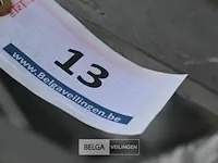 Trapladder 6 treden - afbeelding 4 van  4