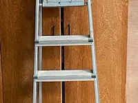 Trapladder