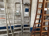 Trapladder