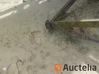 Trechter grasher - afbeelding 2 van  11