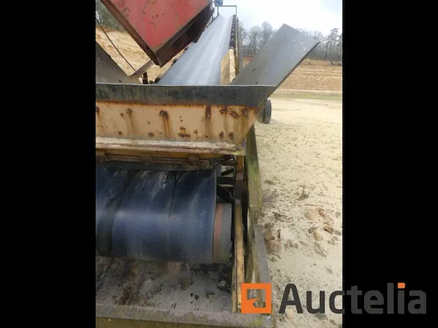 Trechter grasher - afbeelding 3 van  11