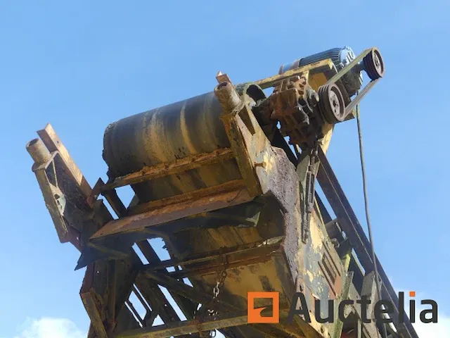 Trechter grasher - afbeelding 4 van  11