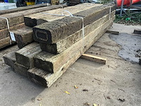 Treinbilzen (12x) - afbeelding 1 van  3