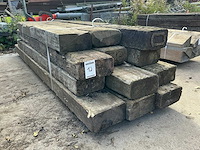 Treinbilzen (12x) - afbeelding 2 van  3