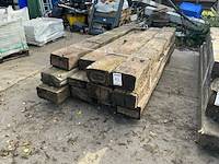 Treinbilzen (12x) - afbeelding 1 van  4