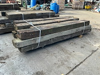 Treinbilzen (12x) - afbeelding 3 van  4