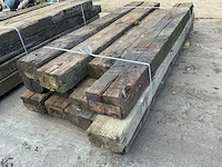 Treinbilzen (12x) - afbeelding 4 van  4