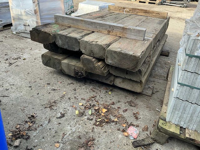 Treinbilzen (12x) - afbeelding 5 van  5