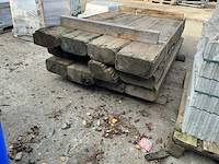 Treinbilzen (12x) - afbeelding 5 van  5