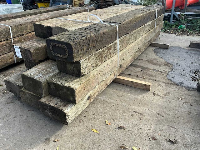 Treinbilzen (12x) - afbeelding 1 van  3