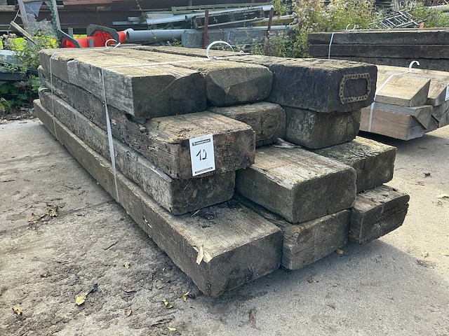 Treinbilzen (12x) - afbeelding 2 van  3