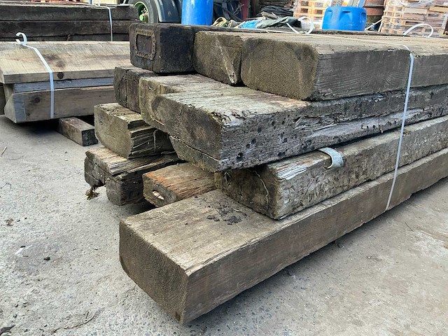 Treinbilzen (12x) - afbeelding 3 van  3