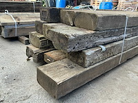 Treinbilzen (12x) - afbeelding 3 van  3