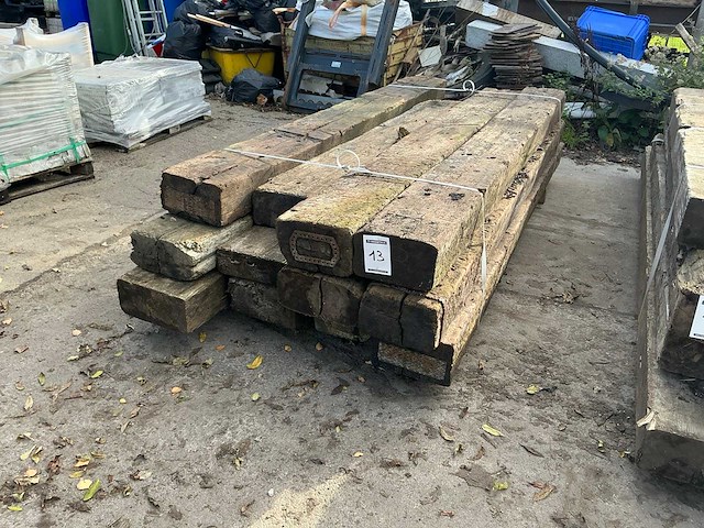 Treinbilzen (12x) - afbeelding 1 van  4