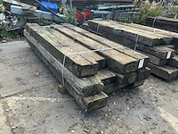 Treinbilzen (12x) - afbeelding 2 van  4