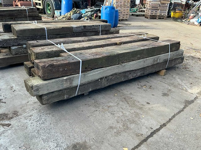 Treinbilzen (12x) - afbeelding 3 van  4