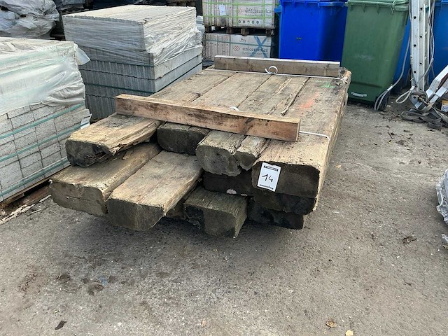 Treinbilzen (12x) - afbeelding 1 van  5